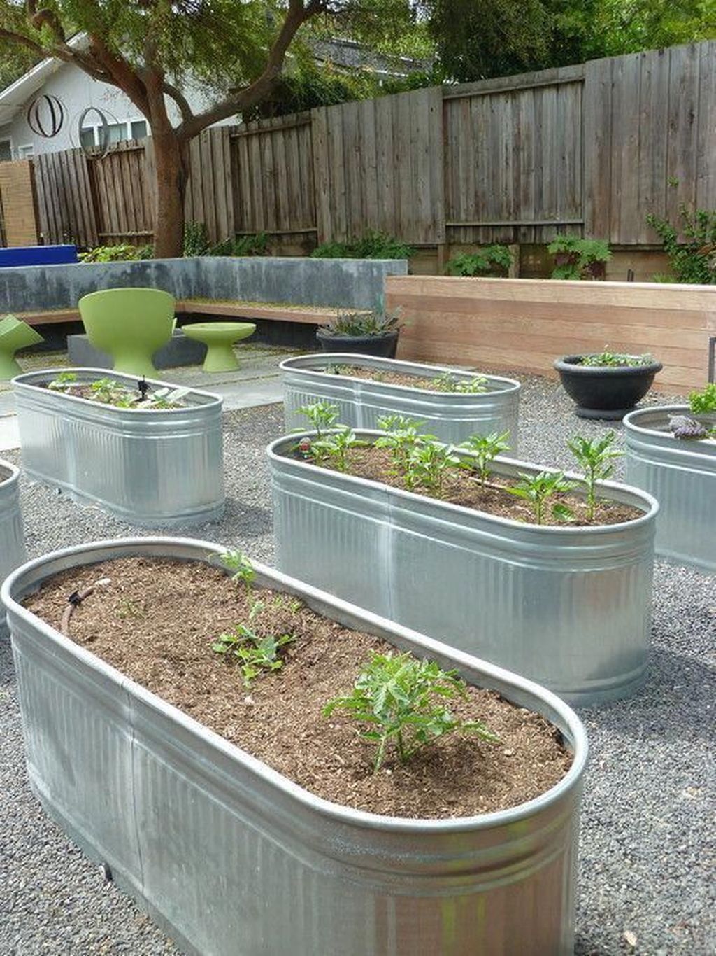 A Raised Bed