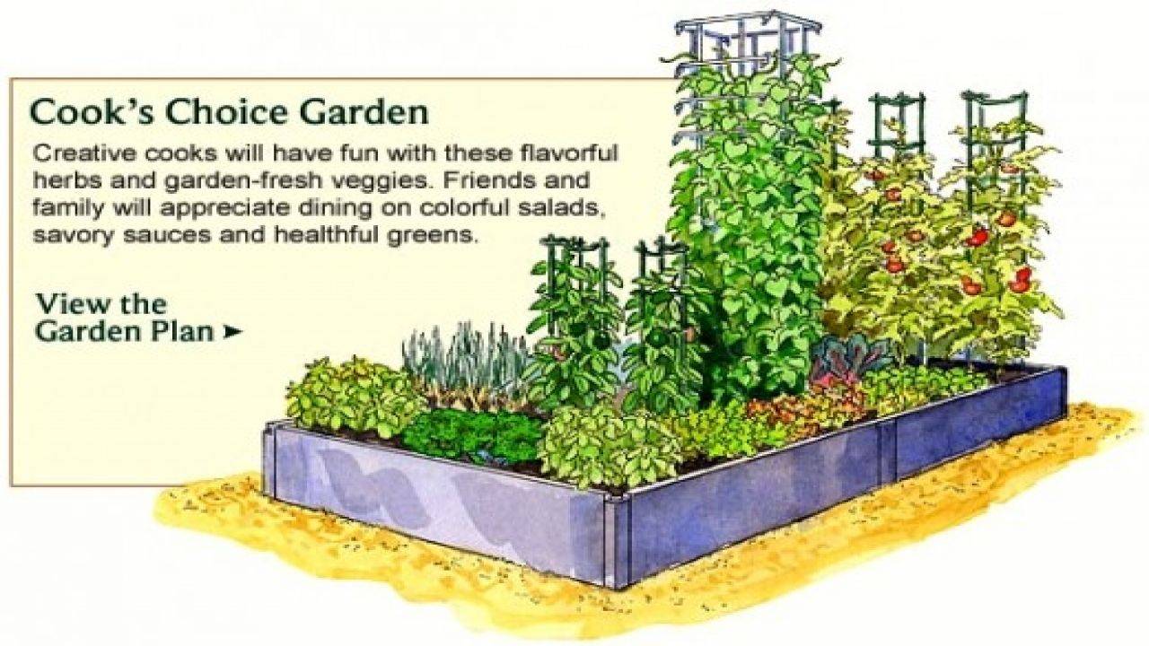 21 Vegetable Garden Layout Diagram Ideas You Gonna Love | SharonSable