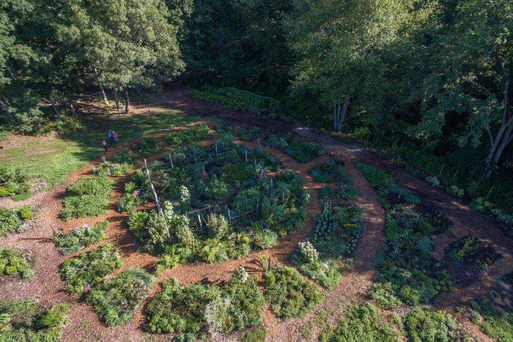 21 Permaculture Forest Garden Ideas You Should Check Sharonsable