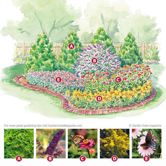 19 Butterfly Hummingbird Garden Plans Ideas For This Year | SharonSable