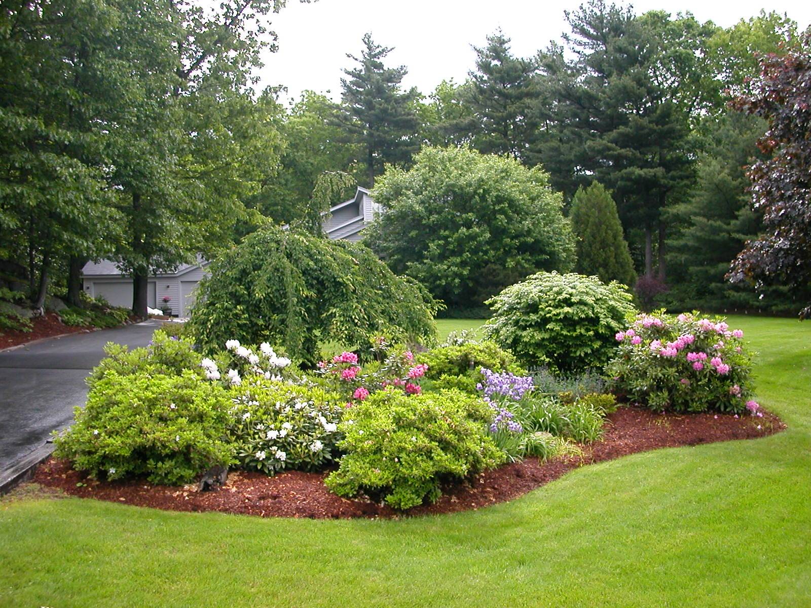 21 Garden Design with Shrubs Ideas To Consider | SharonSable