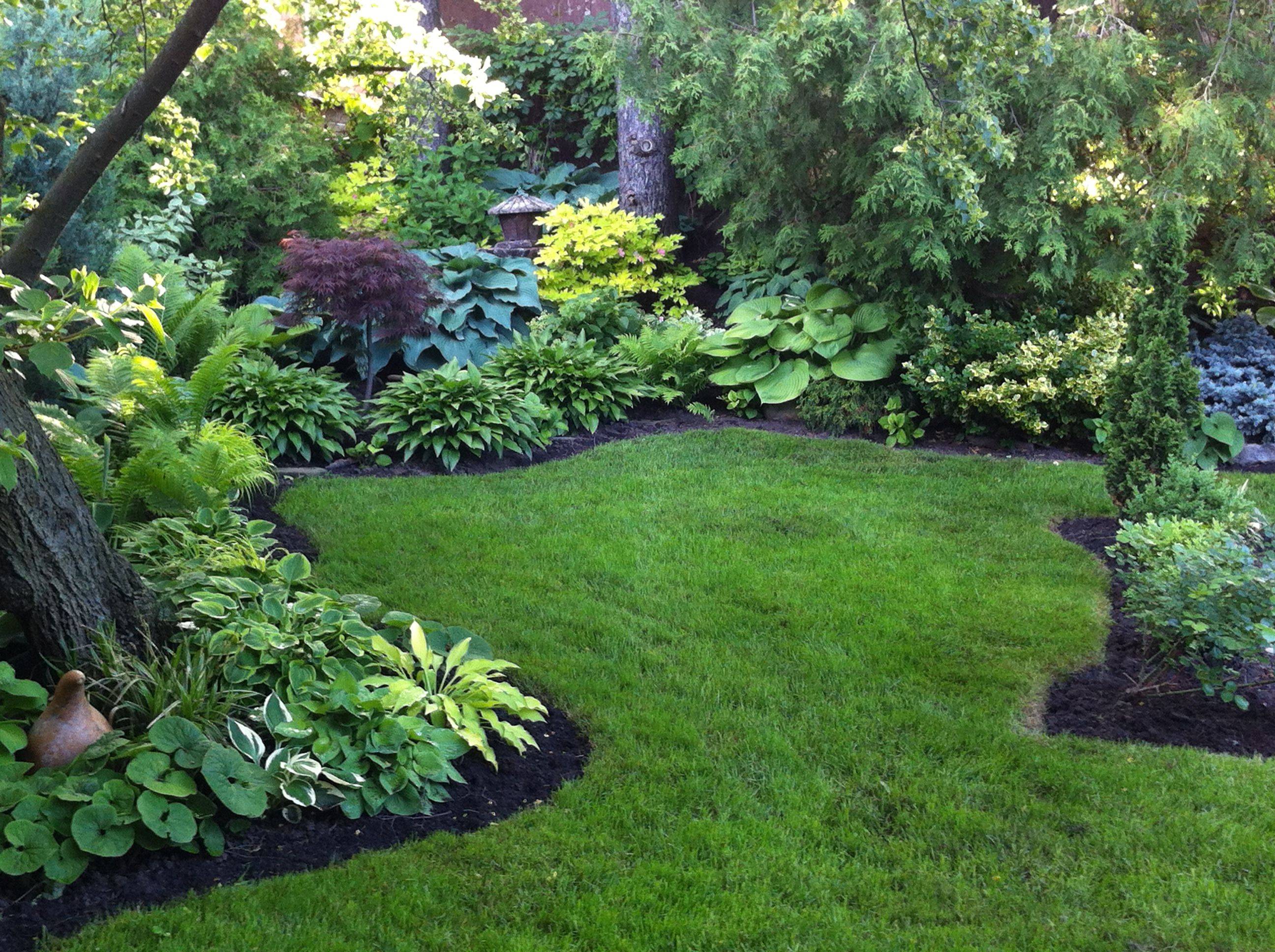 21 Garden Design with Shrubs Ideas To Consider | SharonSable