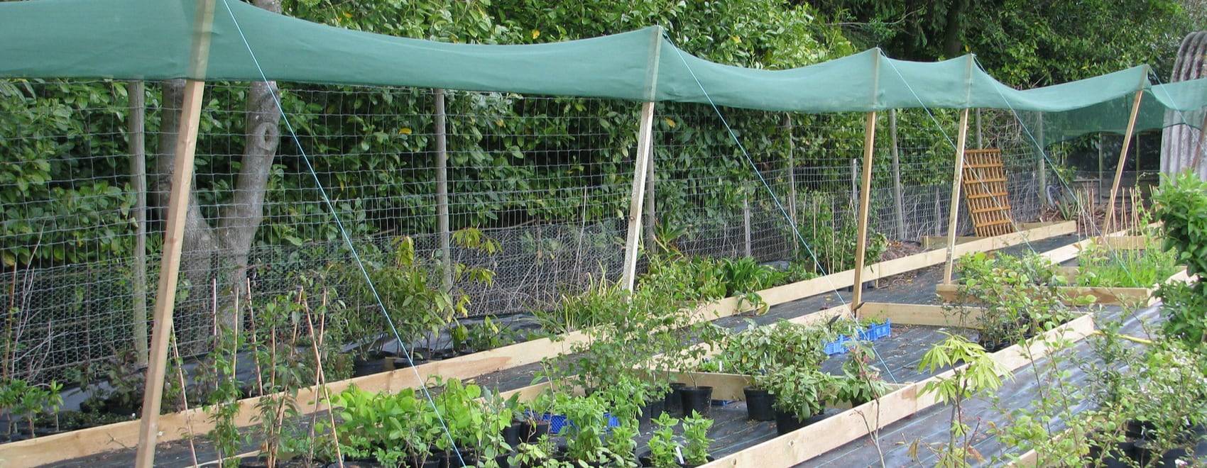 20 Vegetable Garden Netting Ideas To Try This Year | SharonSable