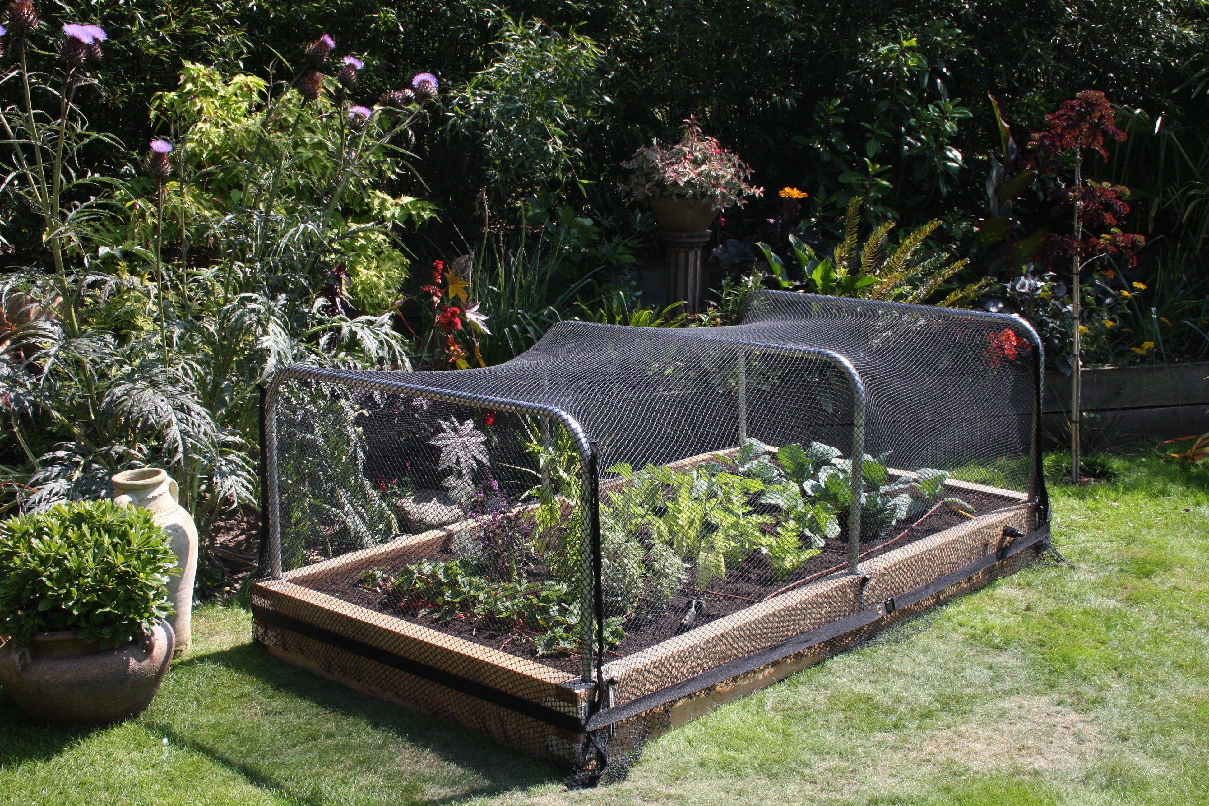 20 Vegetable Garden Netting Ideas To Try This Year | SharonSable