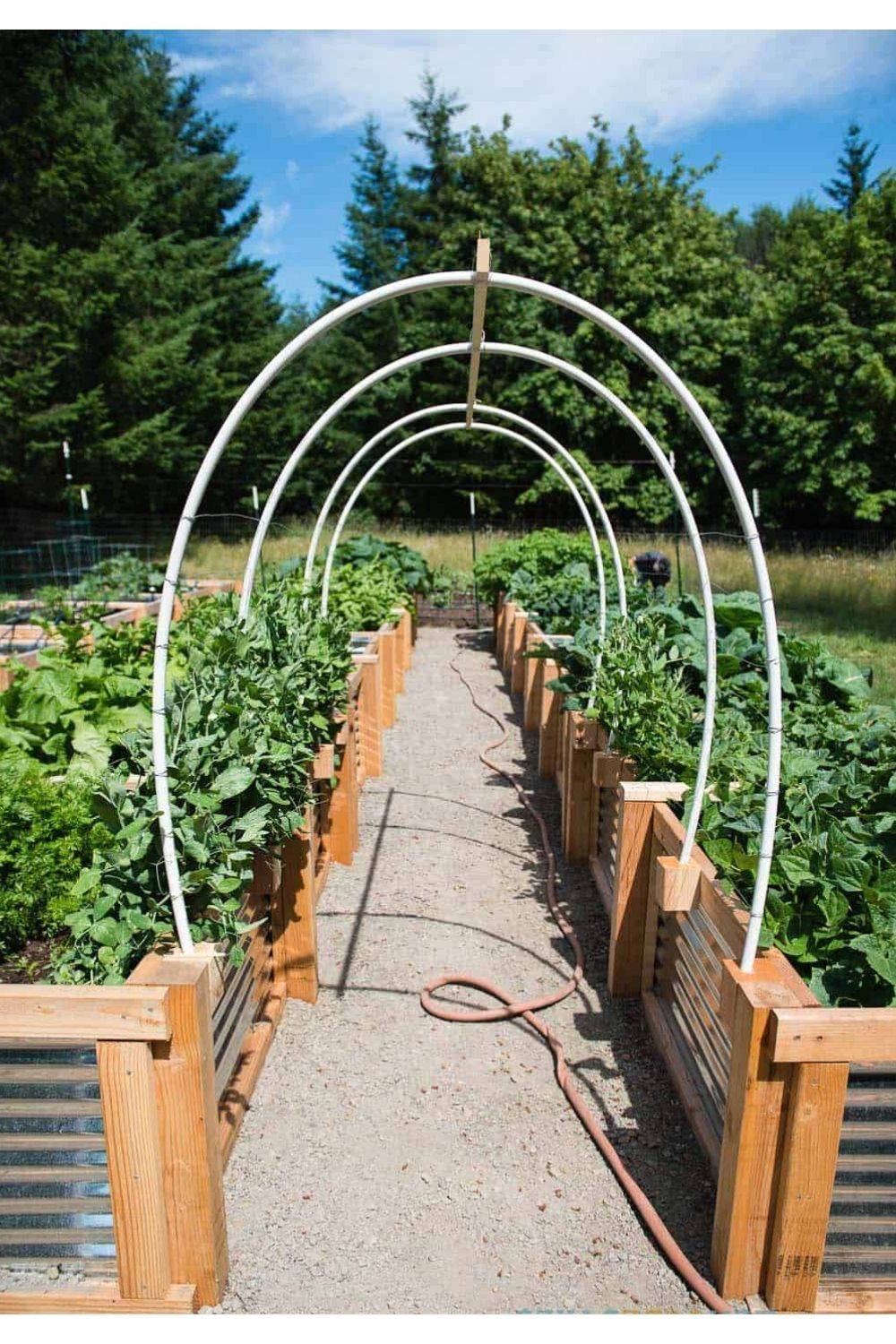 19 Upcycled Garden Trellis Ideas You Should Look | SharonSable