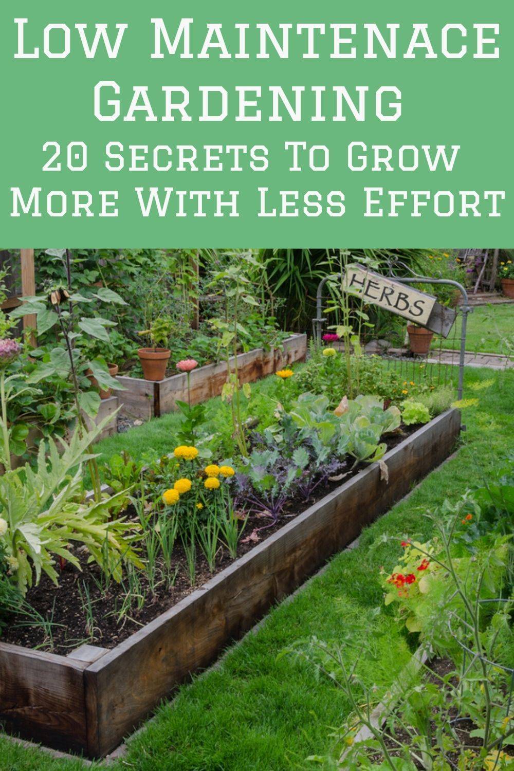 24 Low Maintenance Vegetable Garden Ideas You Should Look | SharonSable