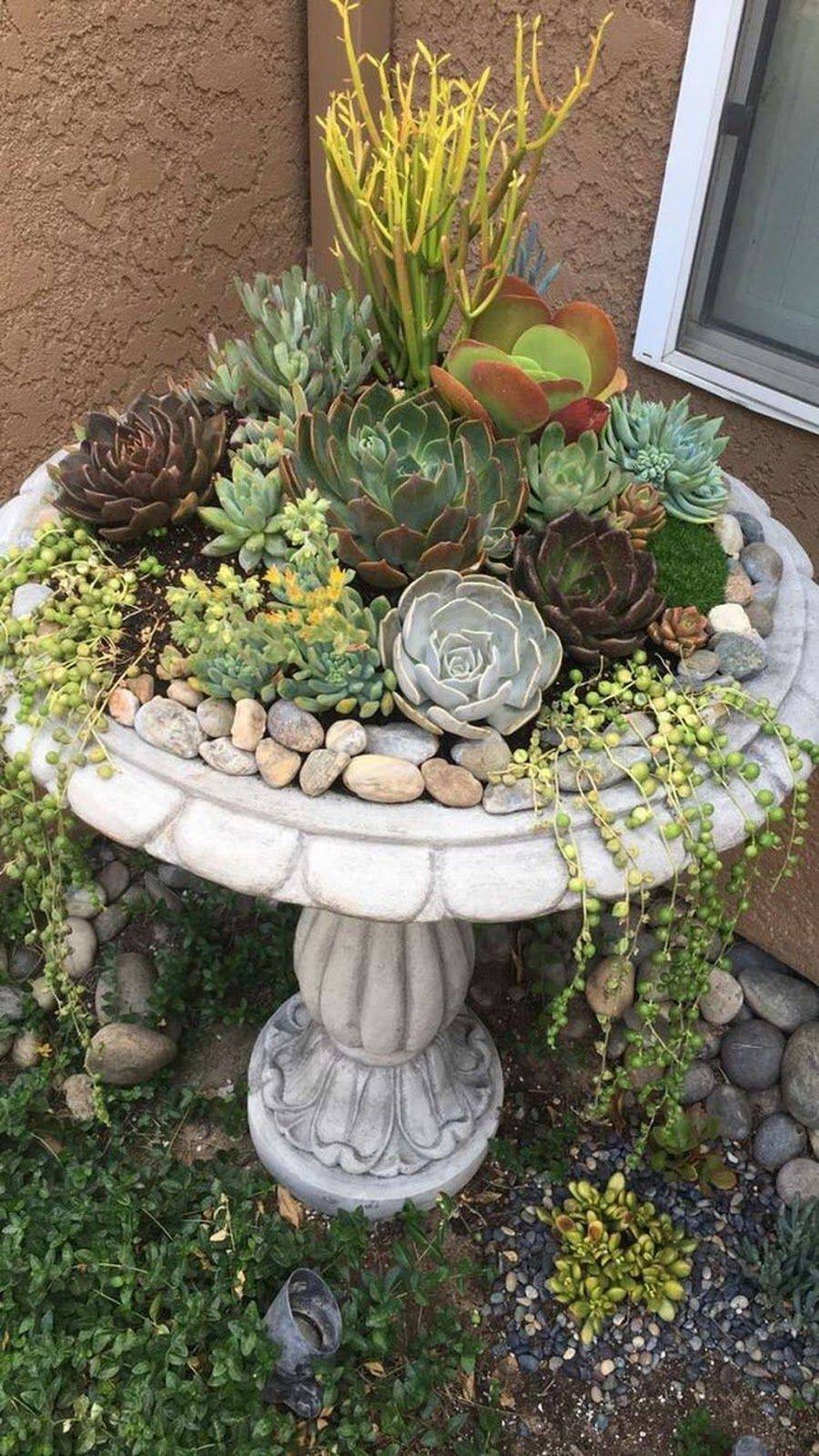 20 Diy Bird Bath Succulent Garden Ideas To Try This Year Sharonsable 0709