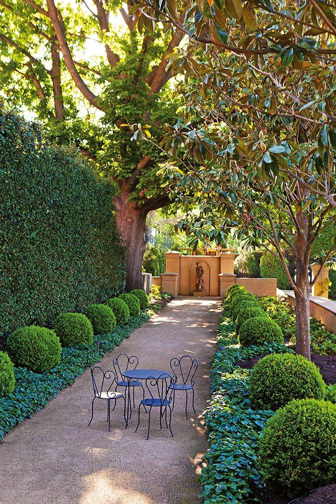 Alle Graviers English Boxwood