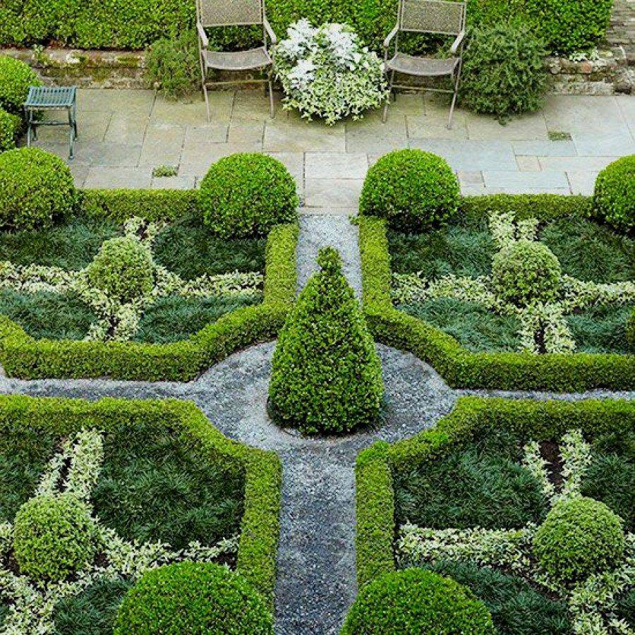 Formal English Garden Hedges