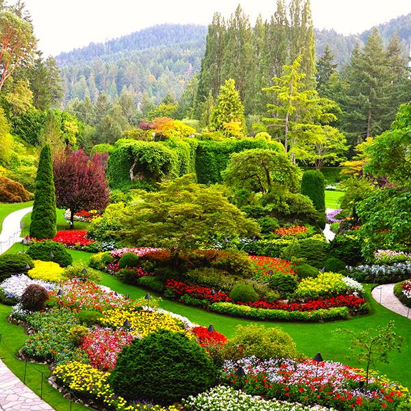 19 Ferry to Butchart Garden Ideas To Try This Year | SharonSable