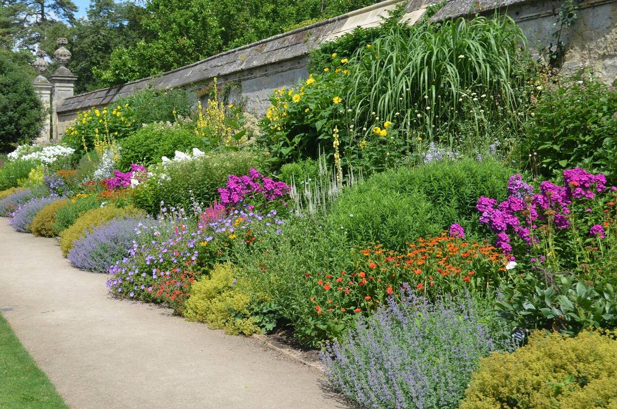 26 English Garden Border Plants Ideas To Consider Sharonsable 0393