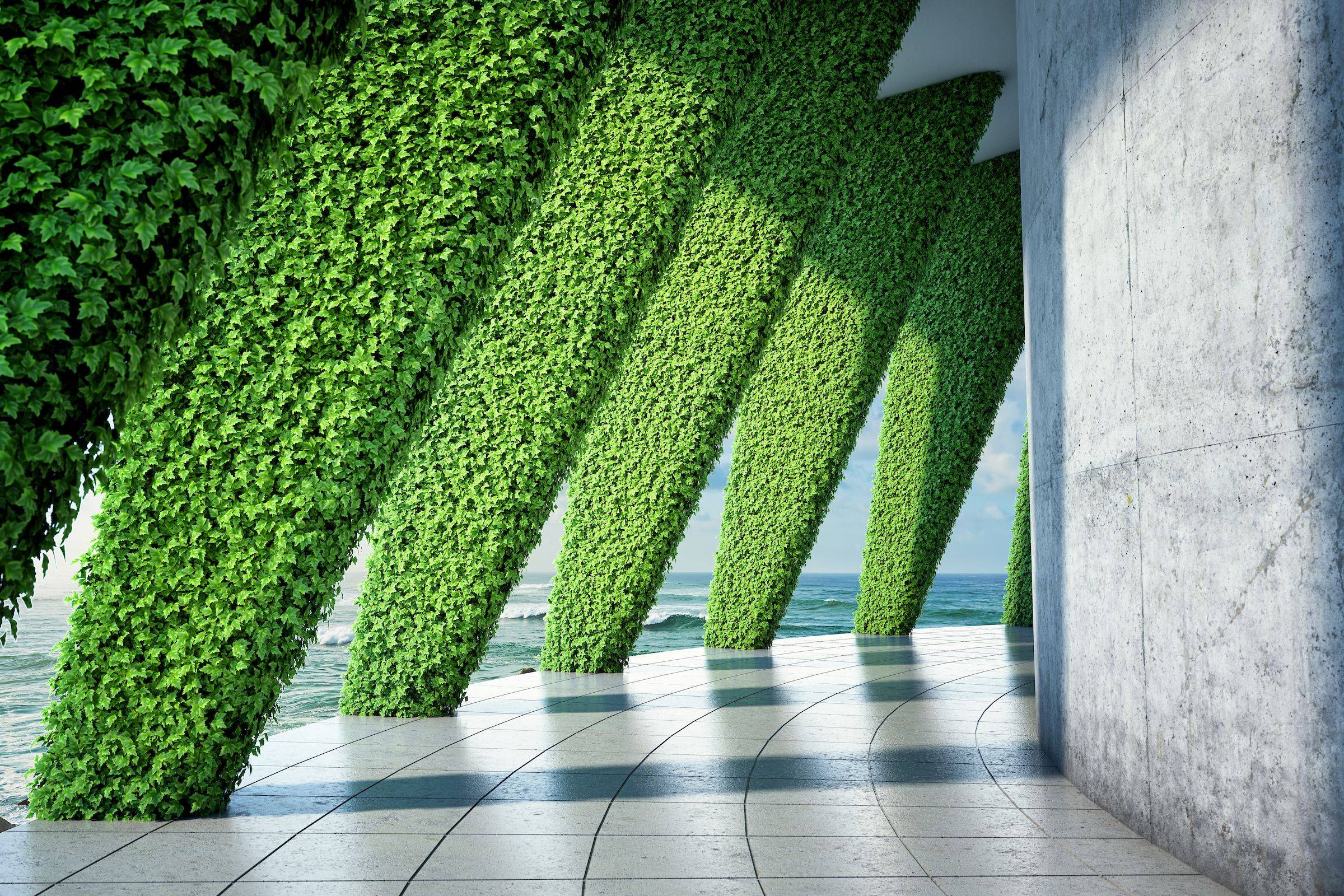 DIY Green Wall
 20 DIY Green Wall Vertical Garden Ideas You Cannot Miss