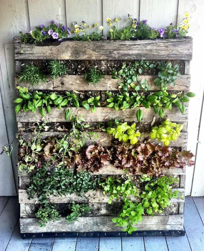 24 Build a Tower Garden Ideas To Try This Year | SharonSable