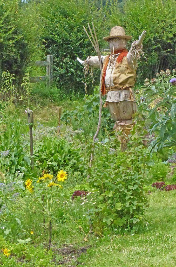 23 Beautiful Garden Scarecrow Ideas To Consider | SharonSable