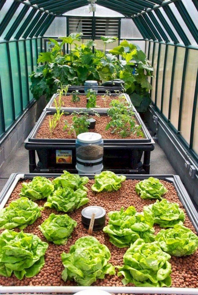 21 Indoor Hydroponic Garden Ideas To Consider | SharonSable