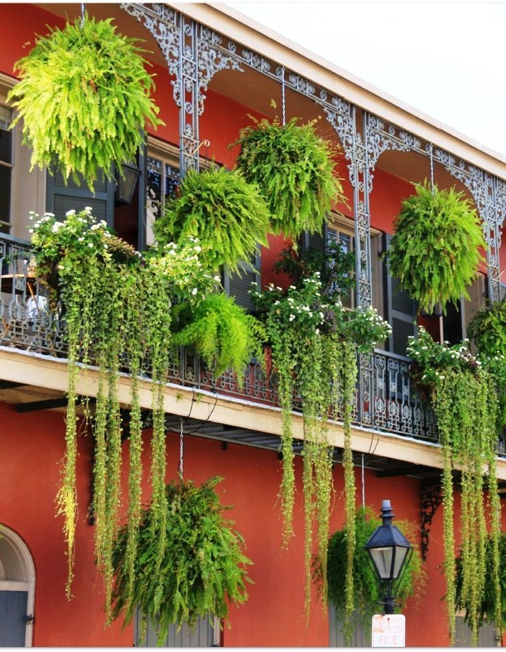 18 New Orleans Style Garden Ideas To Consider | SharonSable