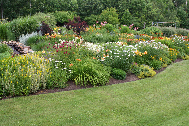 21 New England Perennial Garden Ideas You Cannot Miss | SharonSable