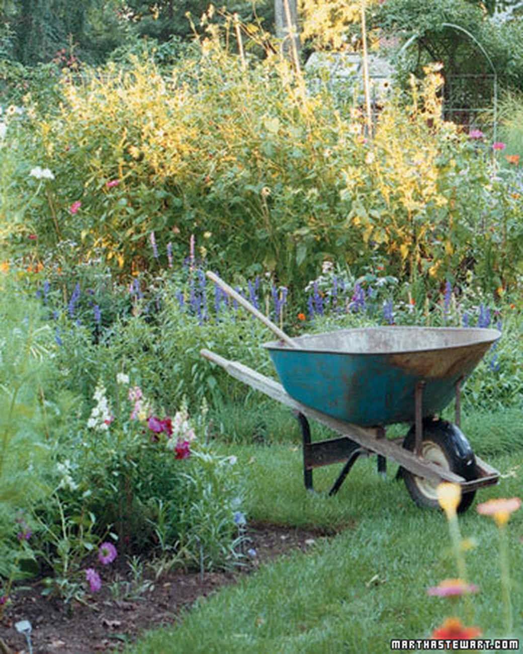 13 Martha Stewart Garden Ideas You Cannot Miss | SharonSable