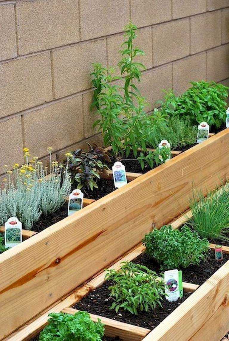 15 Indoor Herb Garden Design Ideas To Consider | SharonSable