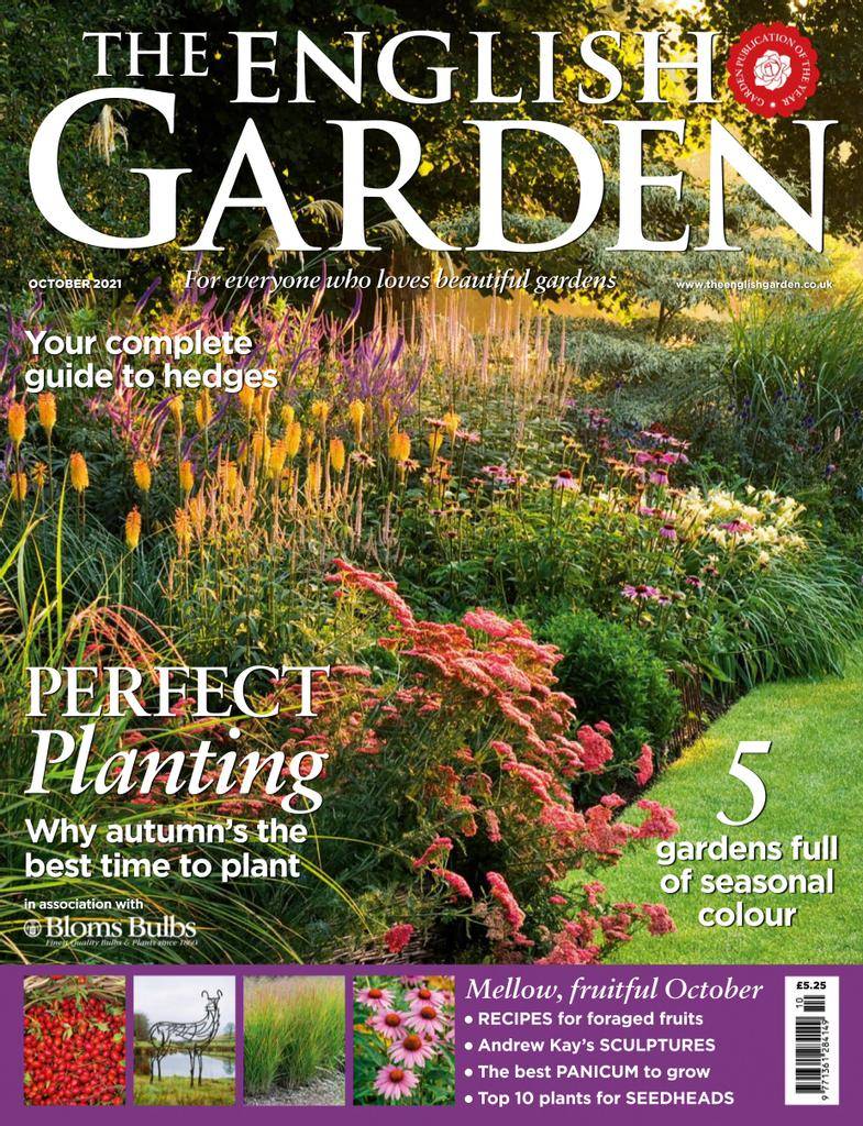 17 Garden Magazine Subscription Ideas To Consider | SharonSable