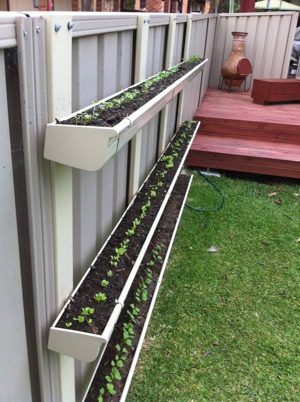 Vertical Diy Rain Gutter Garden Ideas