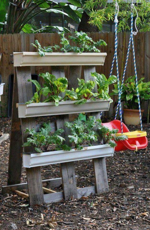 Amazing Gutter Garden Ideas
