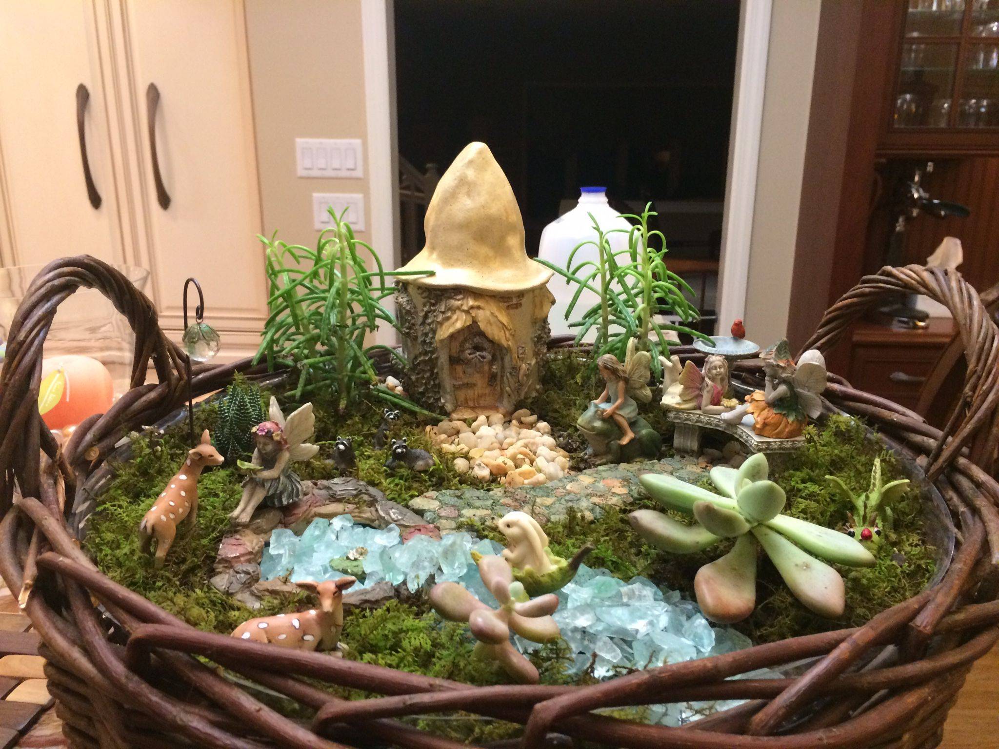 Fairy Gardens Fairy Garden