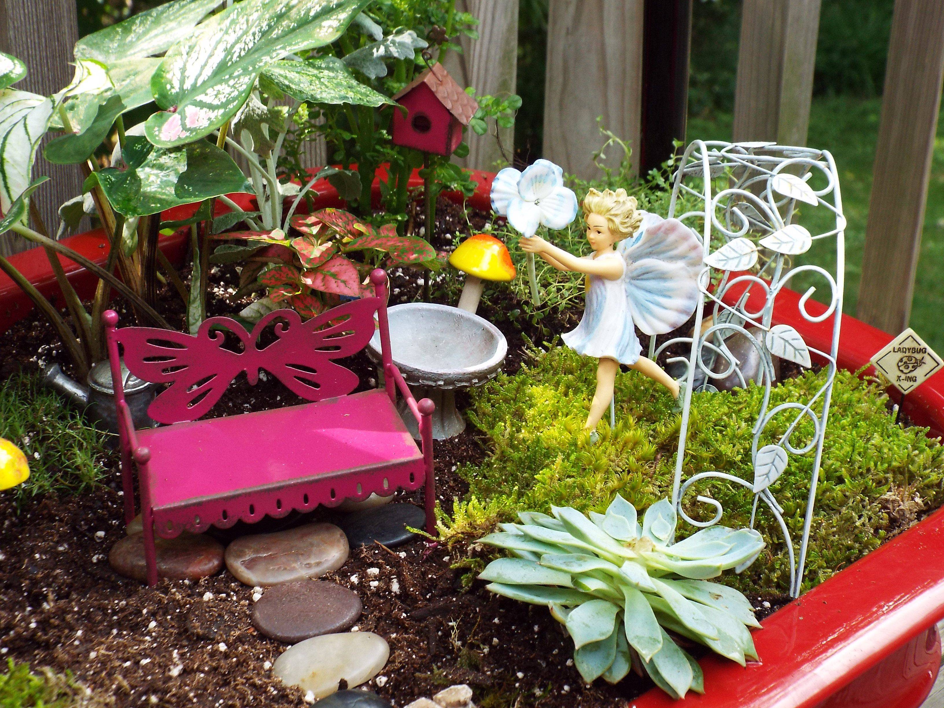 Garden Fairy Garden