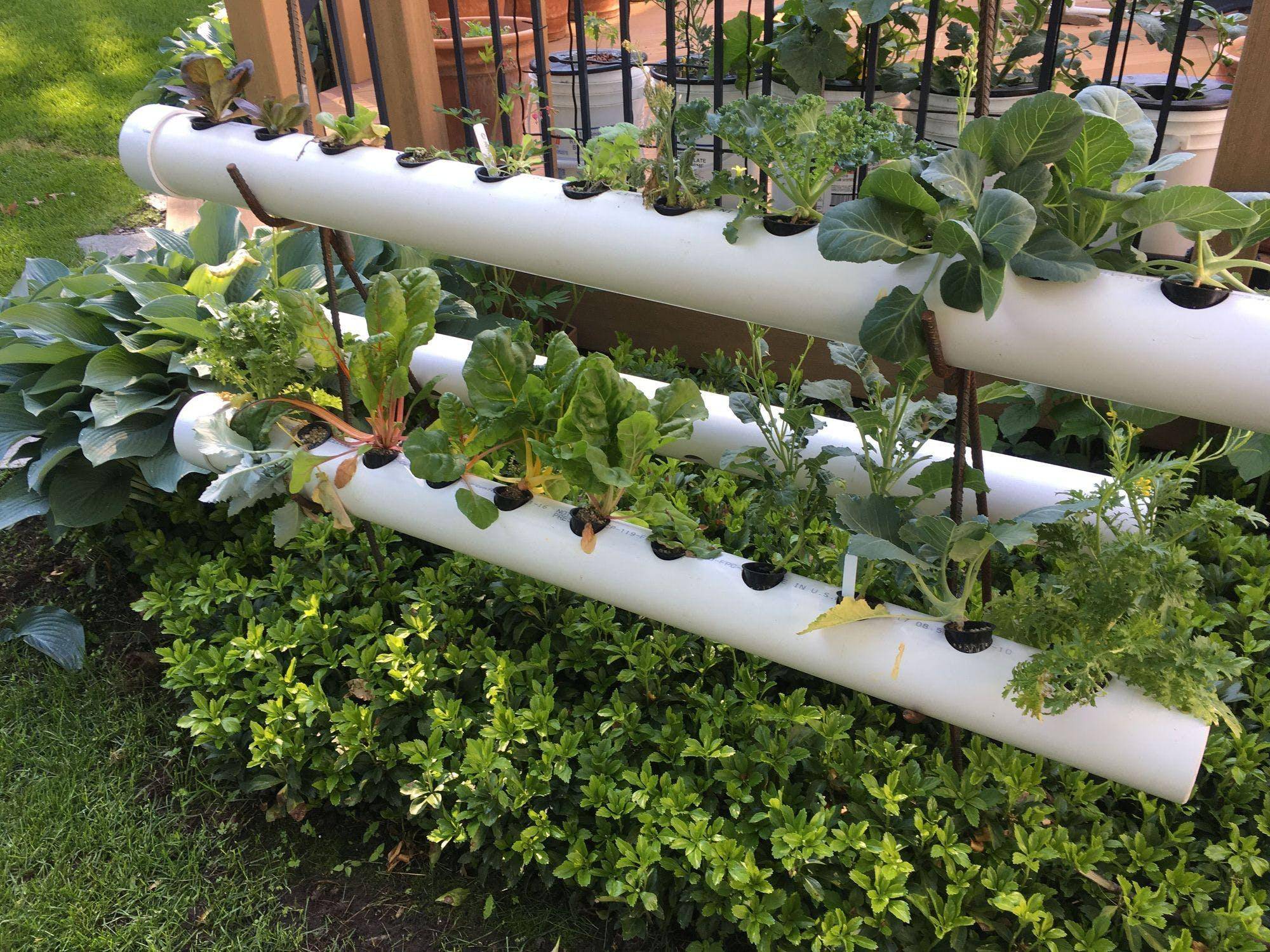 Best Hydroponic Garden Ideas