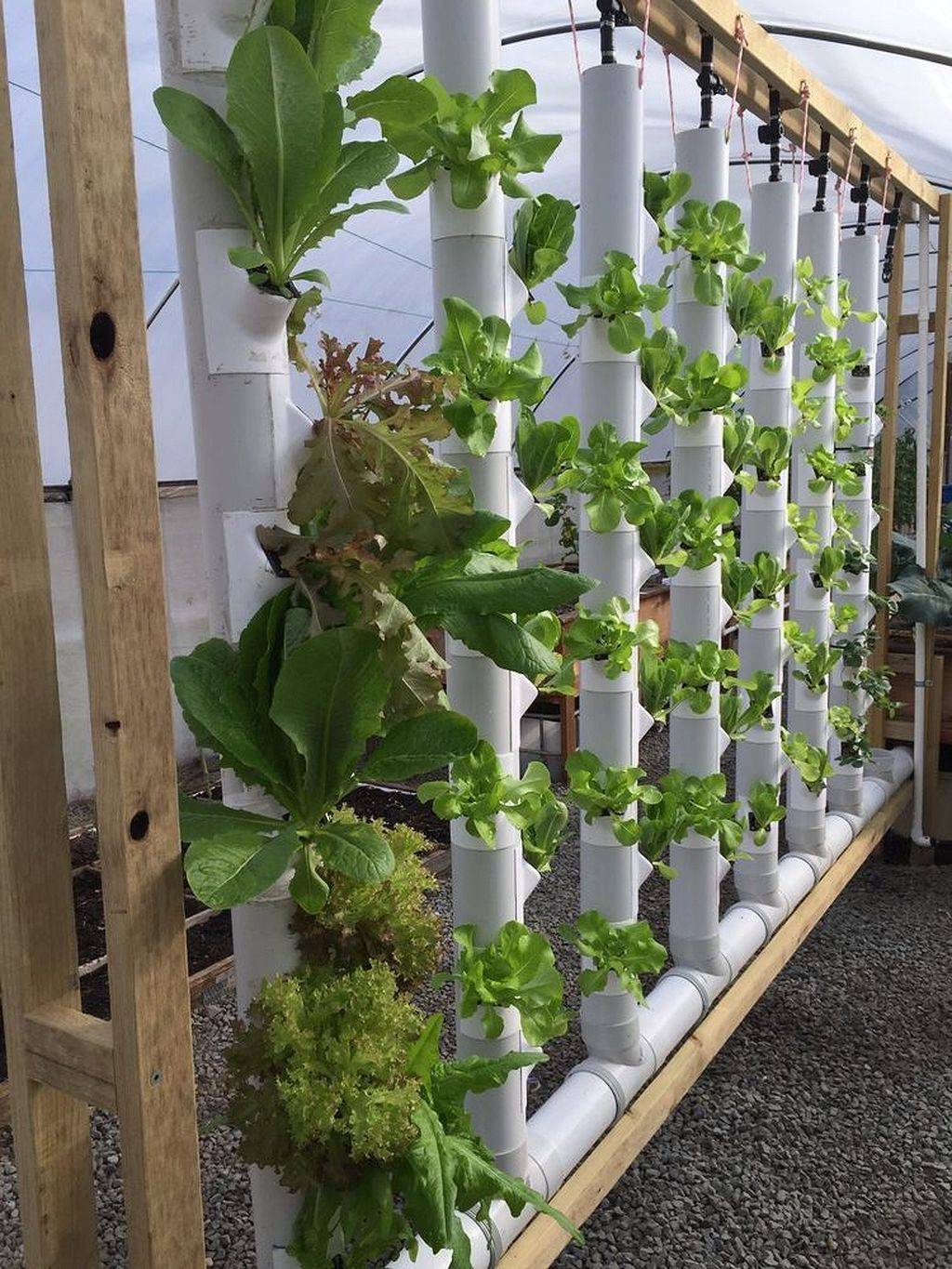 Diy Hydroponic Garden