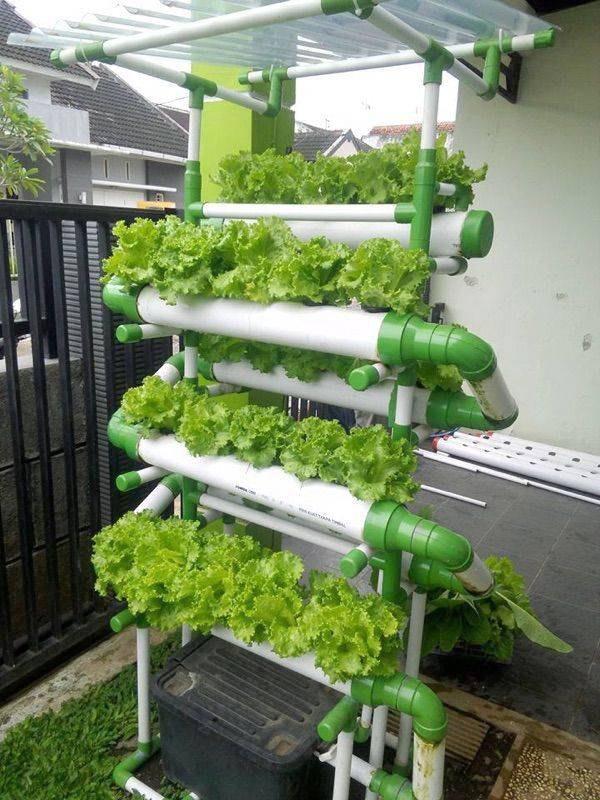 Awesome Indoor Hydroponic Wall Garden Design Ideas