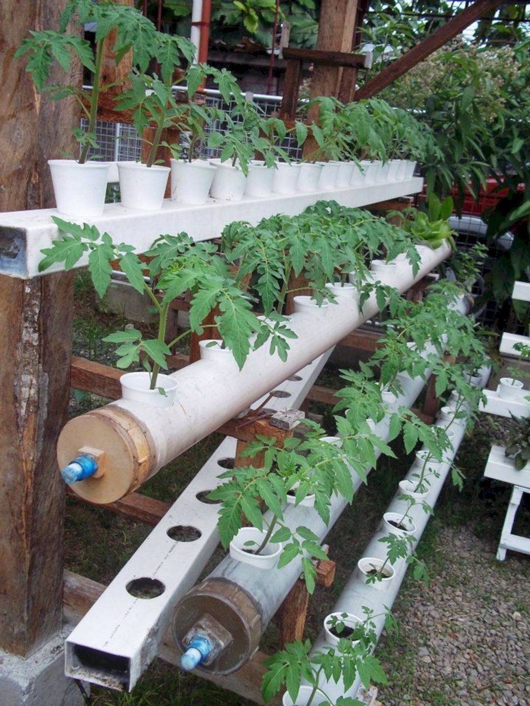 Simple Hydroponic Garden Ideas