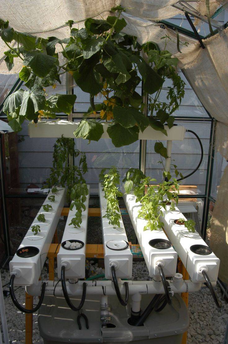 Best Hydroponic Gardening For Beginners Design Ideas Decor