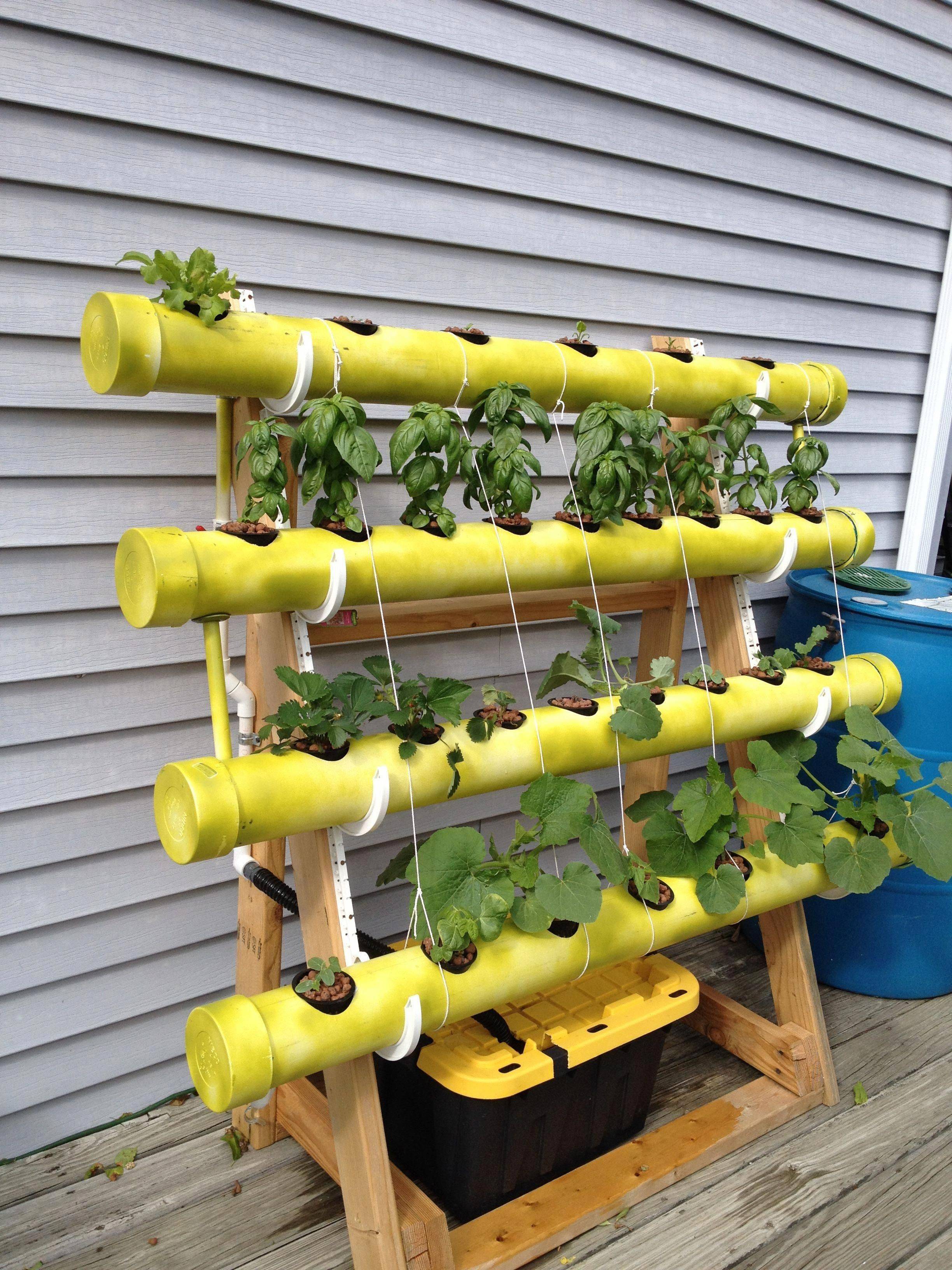 Best Hydroponic Garden Ideas