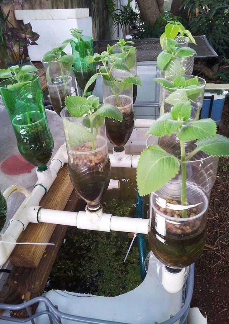 Diy Hydroponic Garden