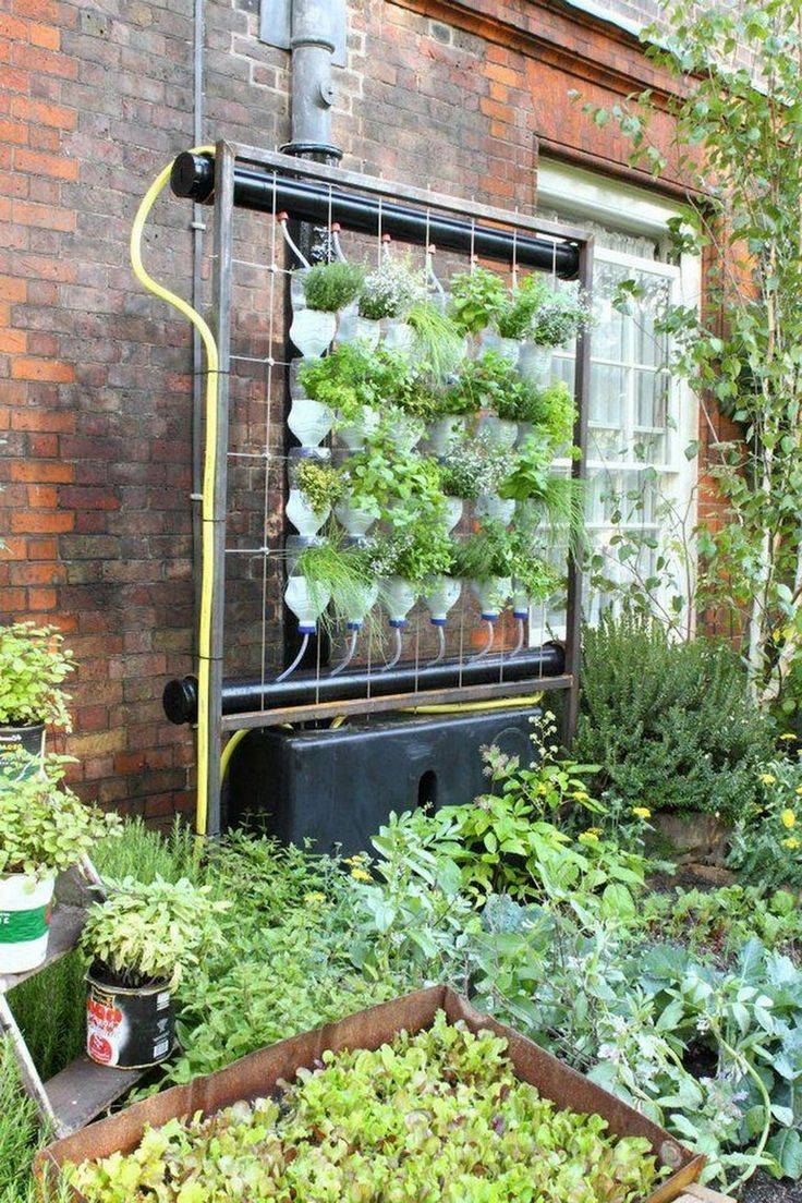 Easy Diy Pvc Hydroponics Backyard System