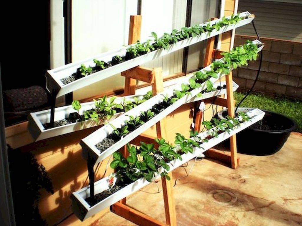 Hydroponic Gardening