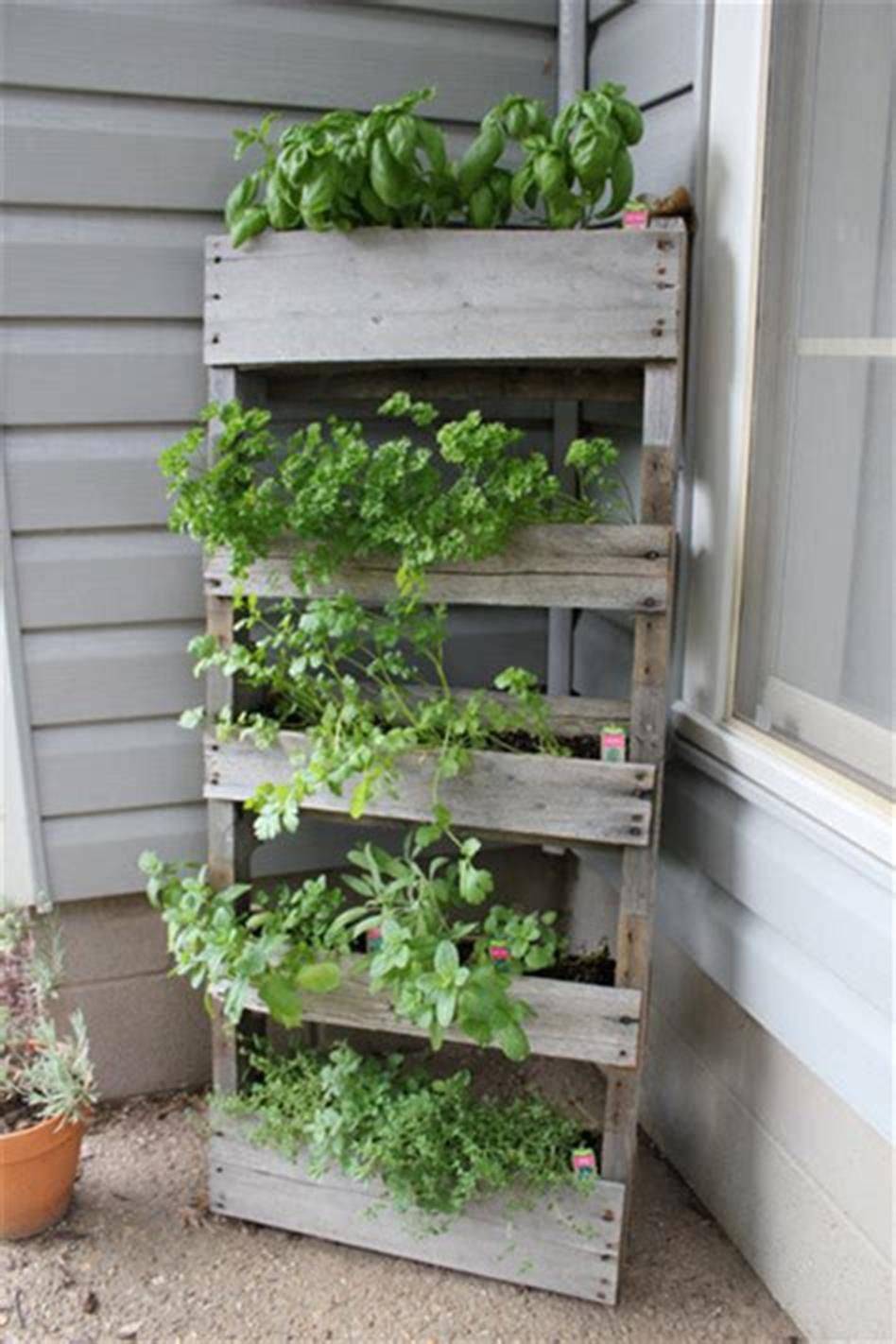 23 Vertical Pallet Vegetable Garden Ideas You Should Look | SharonSable