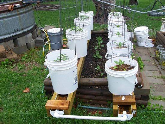 19 Gutter Bucket Gardening Ideas To Try This Year | SharonSable