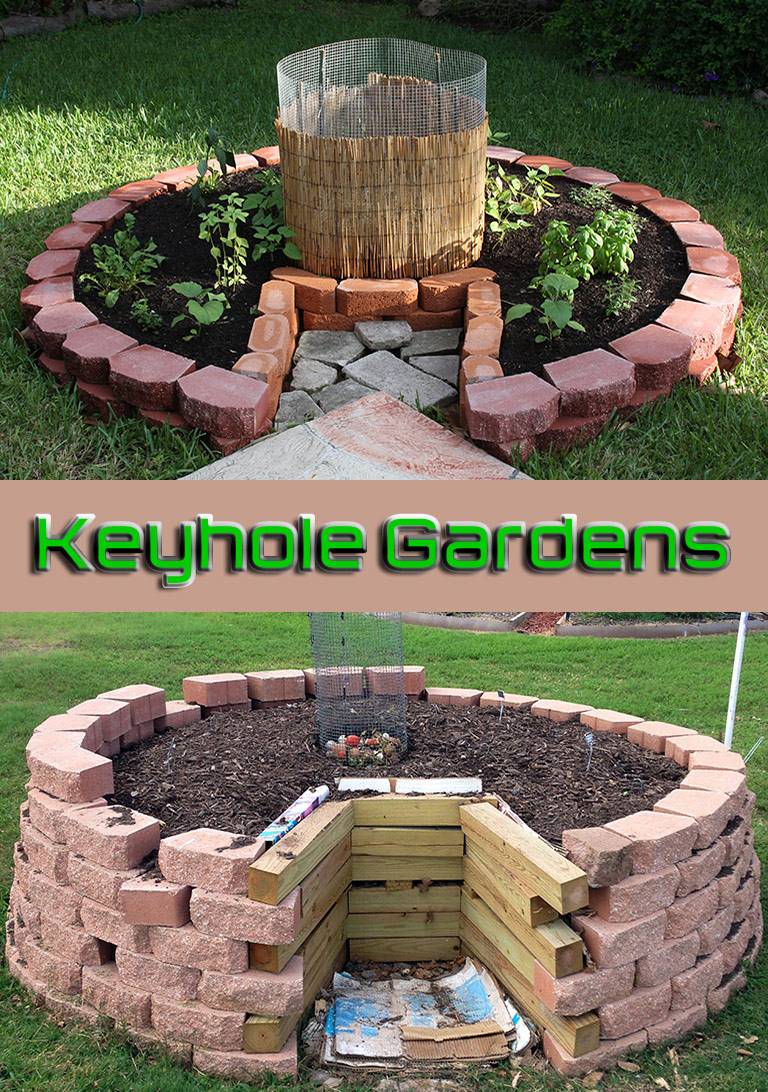 Keyhole Raised Bed Mittra Productive Landscapes