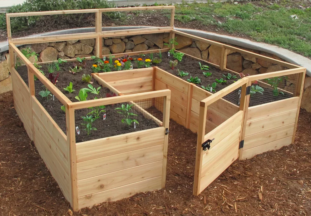 21 Raised Bed Garden Enclosure Plans Ideas Worth To Check Sharonsable