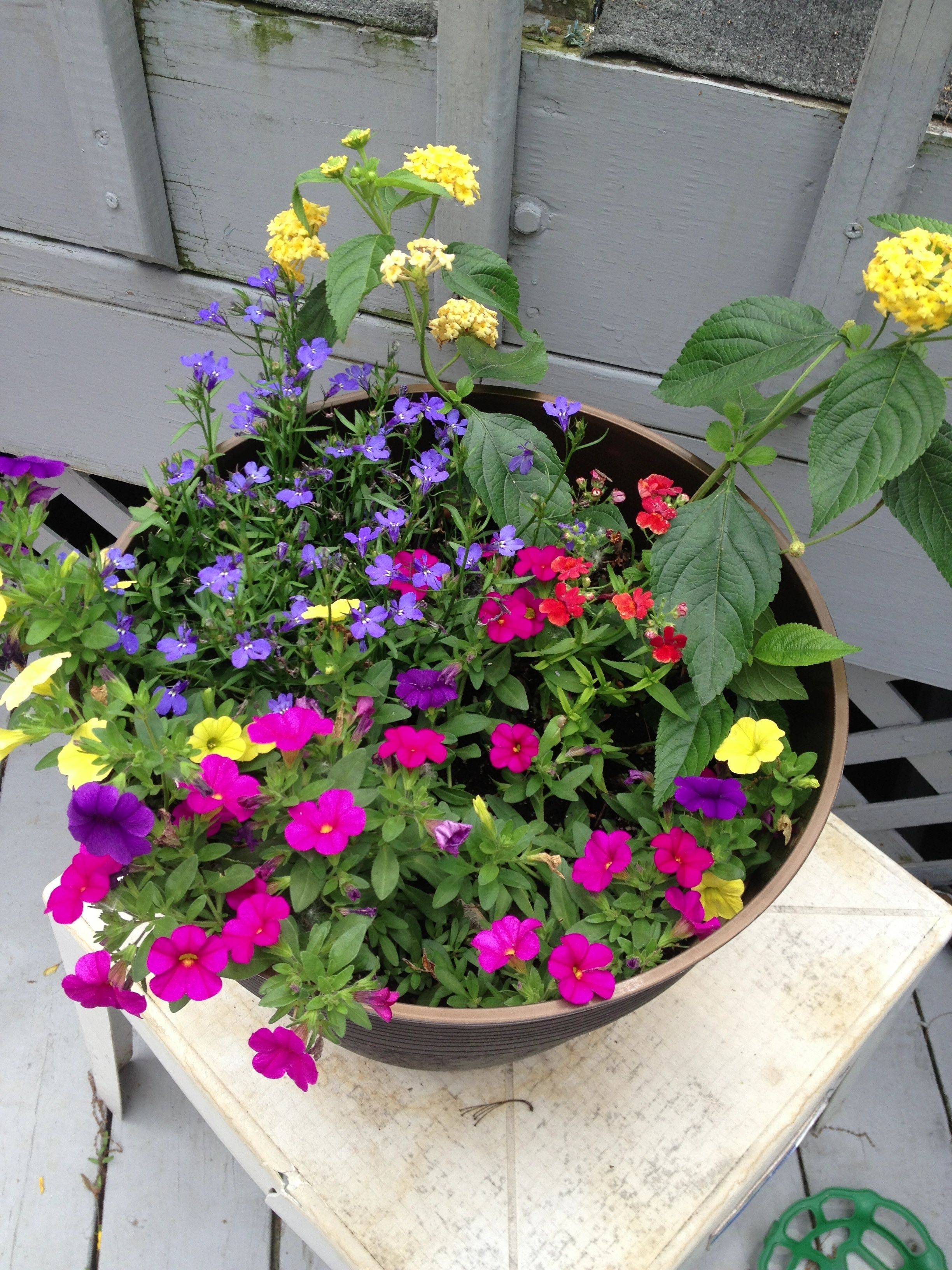 24 Pretty Container Garden Ideas Worth A Look Sharonsable 