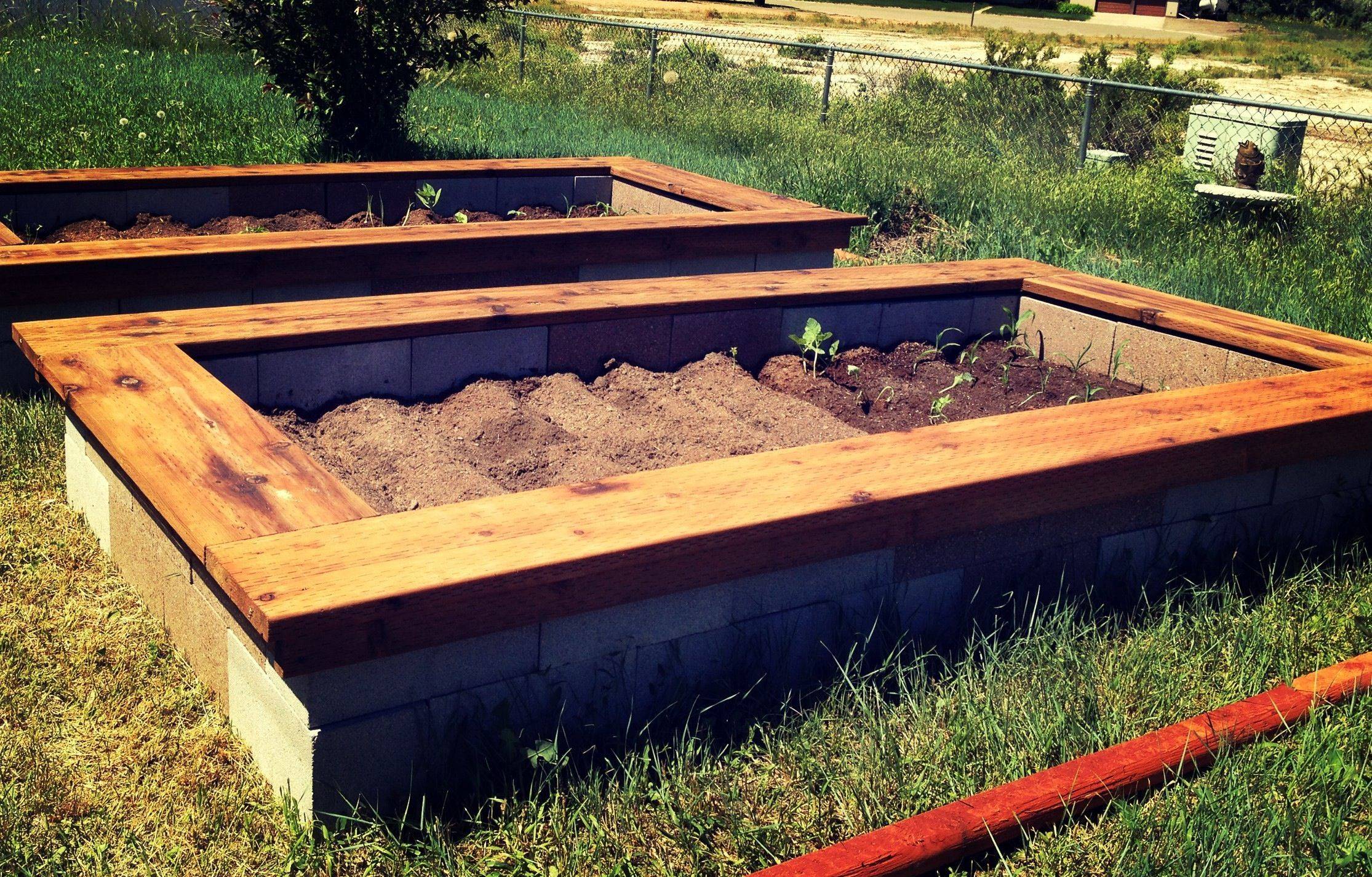 25 DIY Cinder Block Garden Bed Ideas Worth to Check | SharonSable