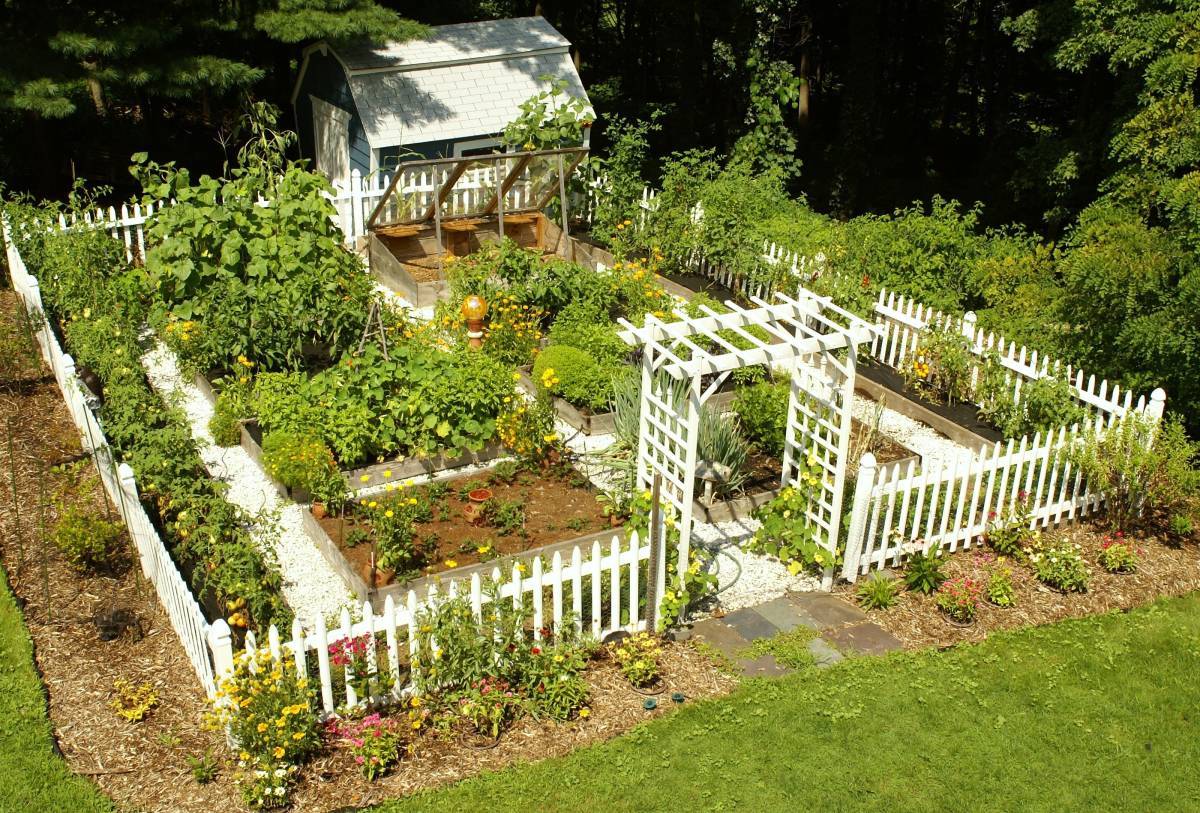 19 Food Garden Design Ideas You Should Check Sharonsable 