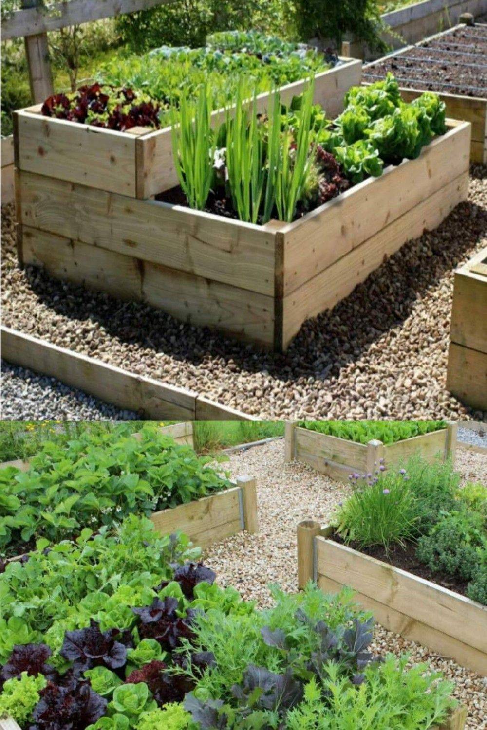 20 Pretty Raised Vegetable Garden Ideas For This Year 