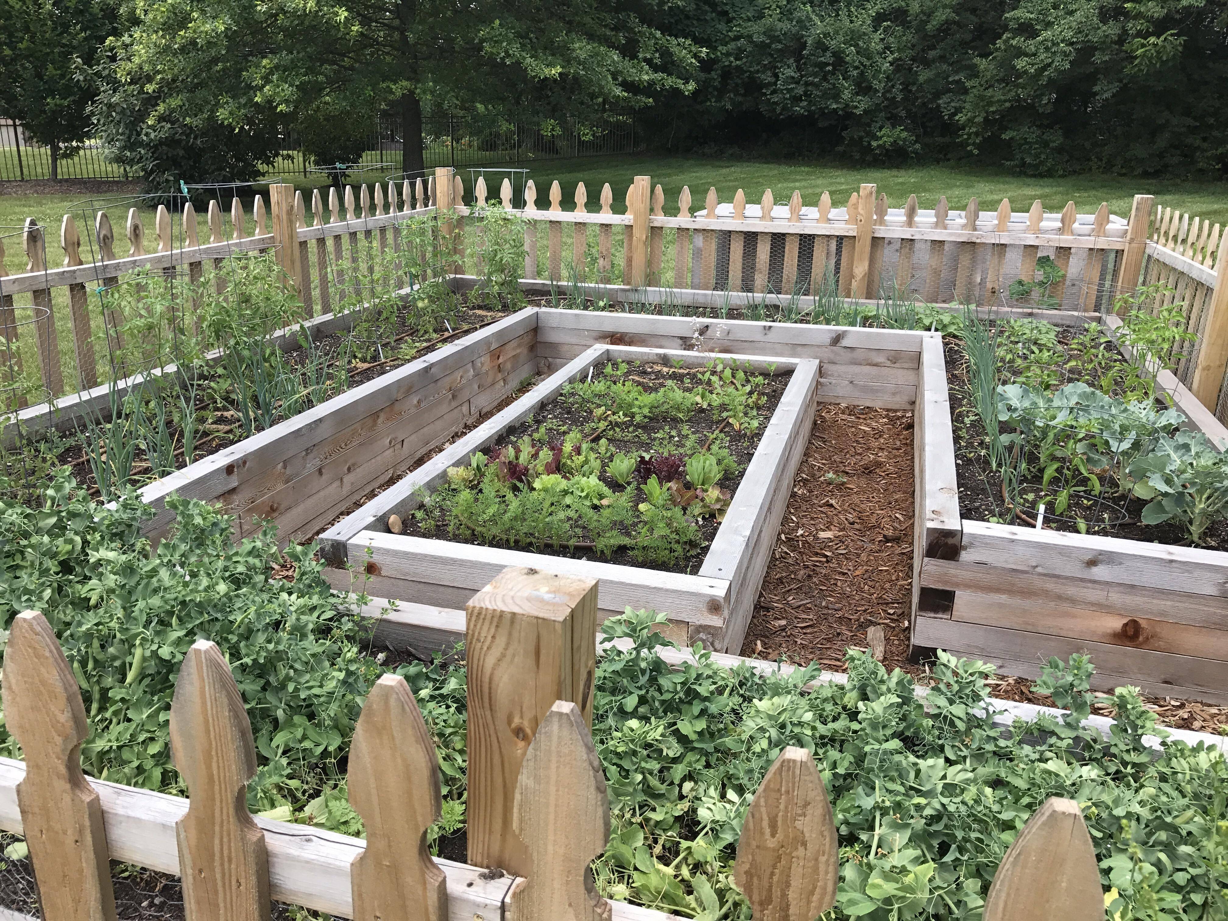 Unique Raised Garden Bed Ideas Vegetables