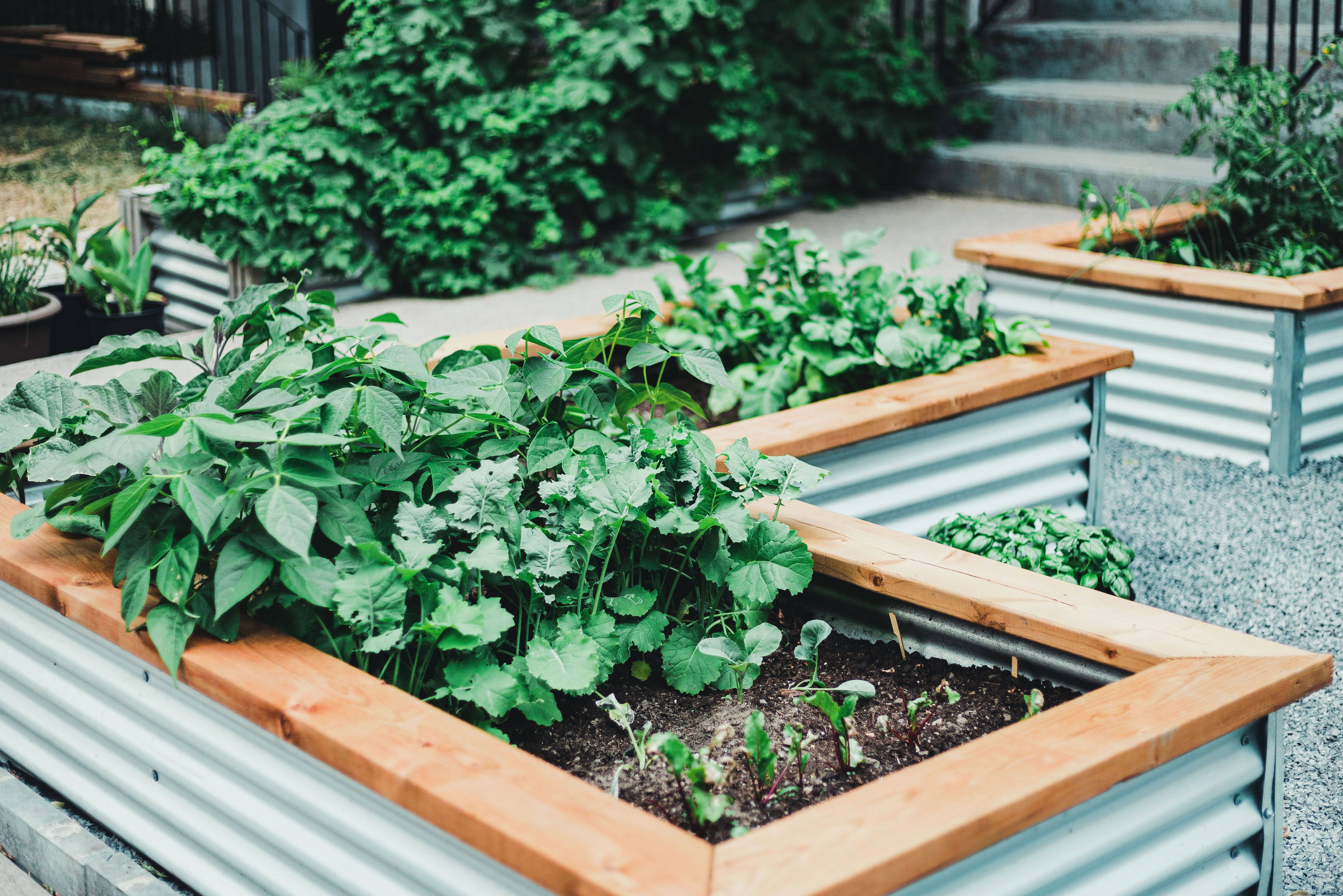 Creative And Inspiring Raised Bed Vegetable Garden Ideas