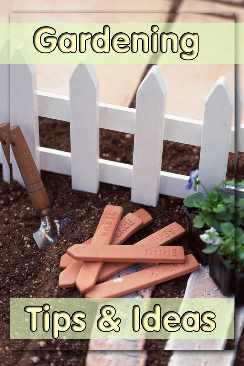 20 Garden Tricks Ideas Worth a Look | SharonSable