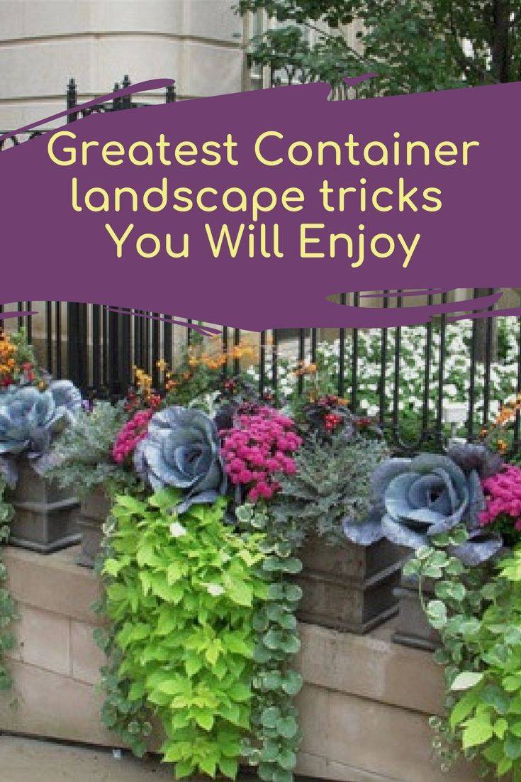 20 Container Gardening Hacks Ideas Worth To Check | SharonSable