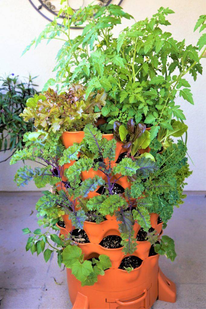 Incredible Tower Garden Ideas